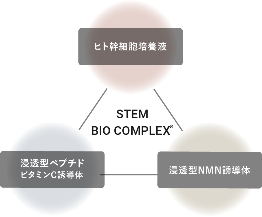 STEM BIO COMPLEX ヒト幹細胞培養液・浸透型ペプチドビタミンC誘導体・浸透型NMN誘導体