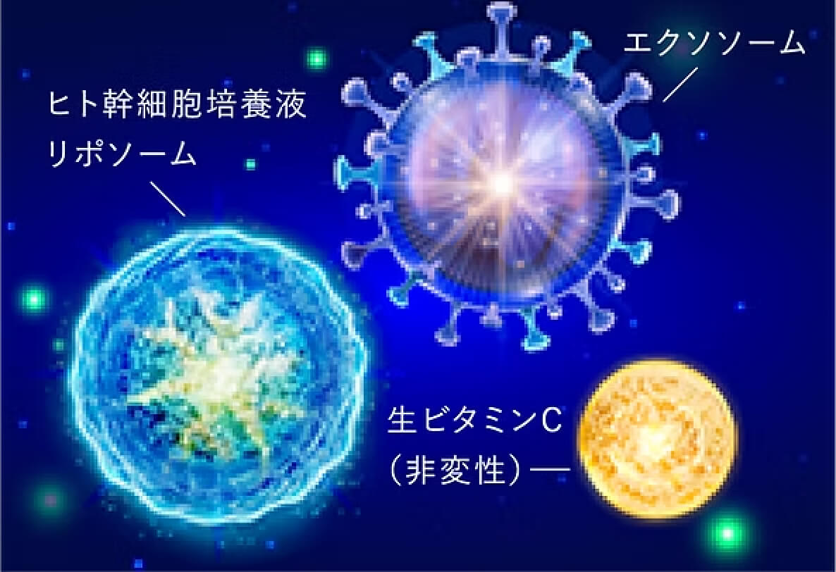 青：ヒト幹細胞培養液リポソーム、紫：エクソソーム、黄：生ビタミンC（非変性）