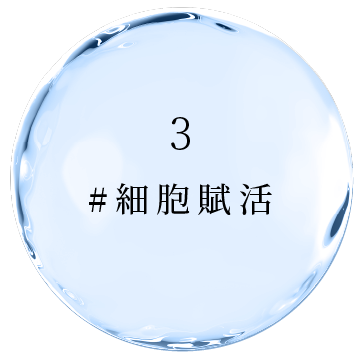 #細胞活性