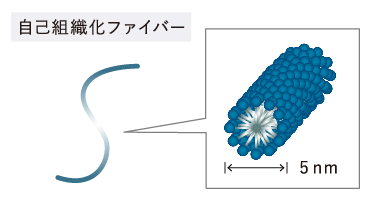 親水部、疎水部