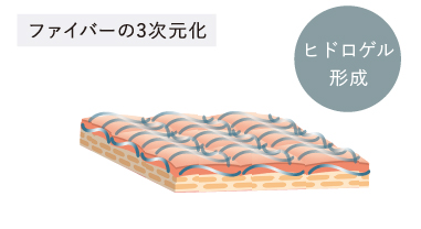 自己組織化ファイバー